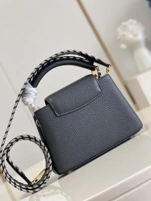 Affordable LOUIS VUITTON CAPUCINES MINI