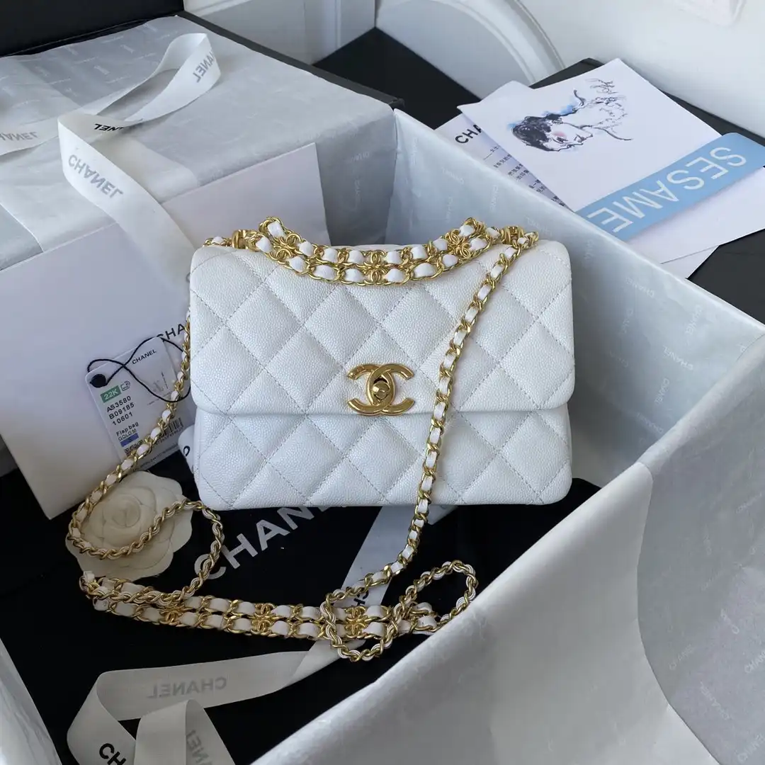 CL FLAP BAG