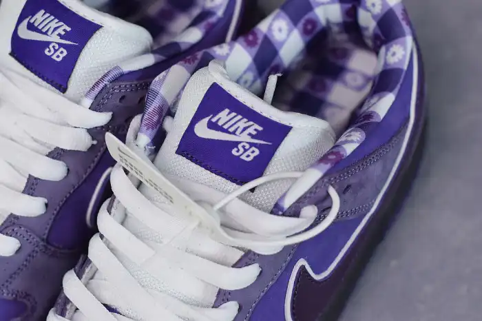 Cheap NIKE SB DUNK LOW CONCEPTS PURPLE LOBSTER BV1310-555