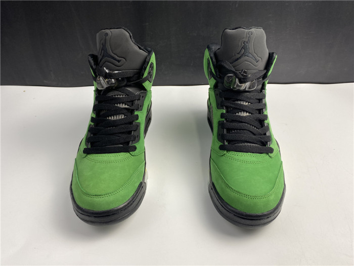 Air Jordan 5 SE Oregon Ducks CK6631-307