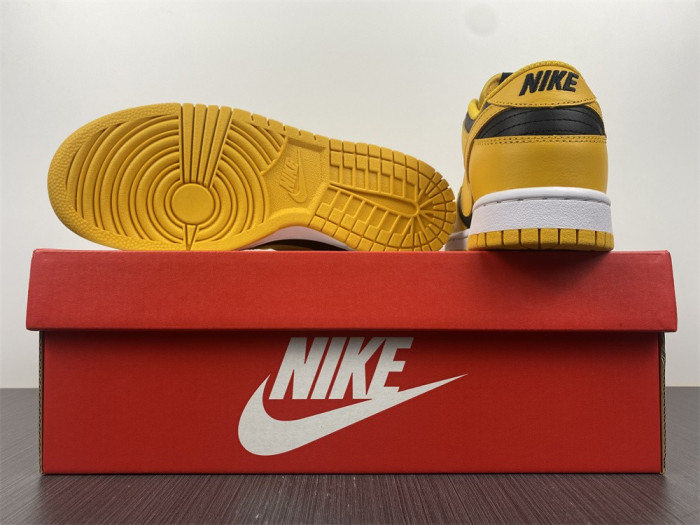 Nike Dunk Low Goldenrod (2021) DD1391-004