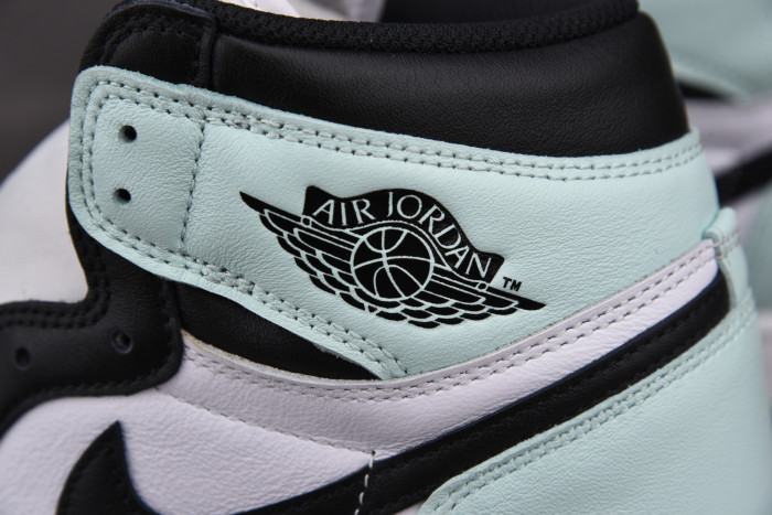 Onekick Jordan 1 Retro High Igloo 861428-100