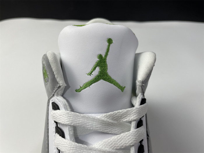 Onekick Air Jordan 3 Retro Chlorophyll 136064-006