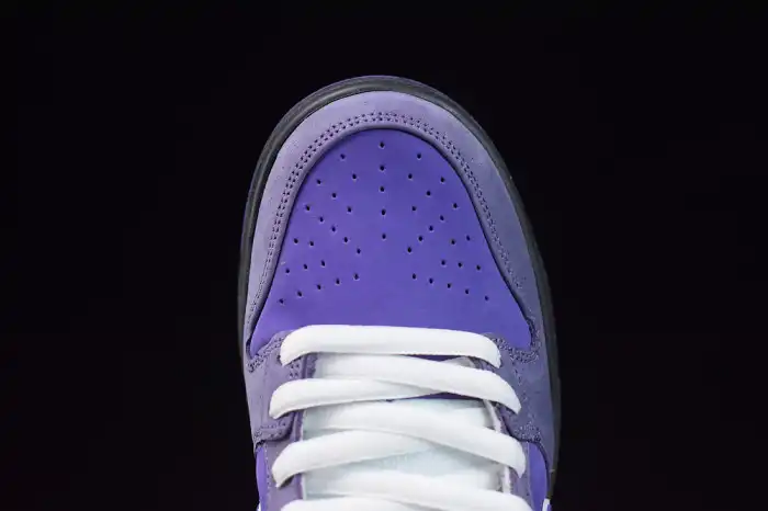 NIKE SB DUNK LOW CONCEPTS PURPLE LOBSTER BV1310-555