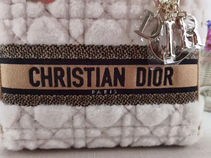 DIOR BAG