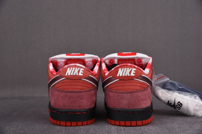 Nike Dunk SB Low Red Lobster 313170-661