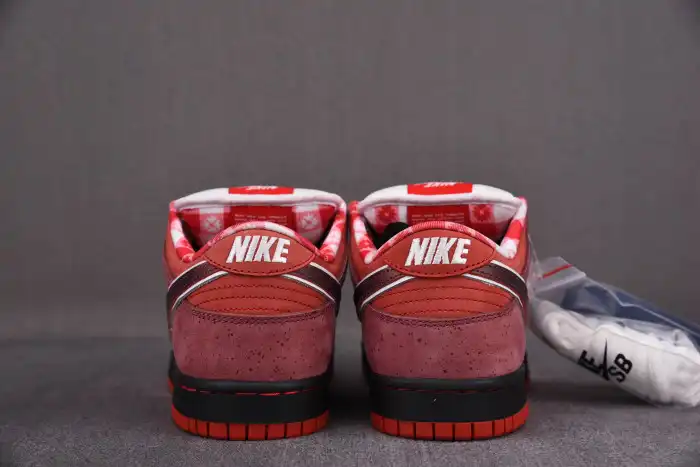 Rep Nike Dunk SB Low Red Lobster 313170-661