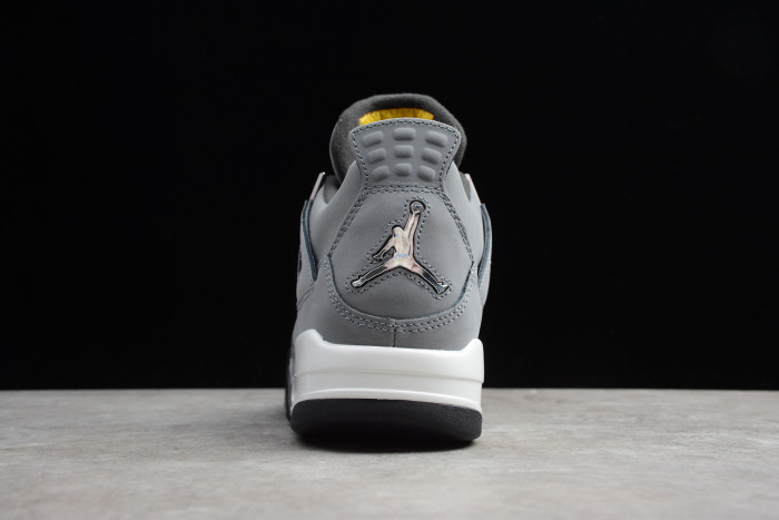 Air Jordan 4 Retro Cool Grey (2019) 308497-007