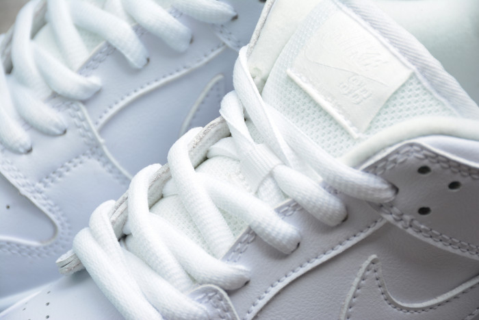 Nike Dunk SB Low White Ice 304292-100