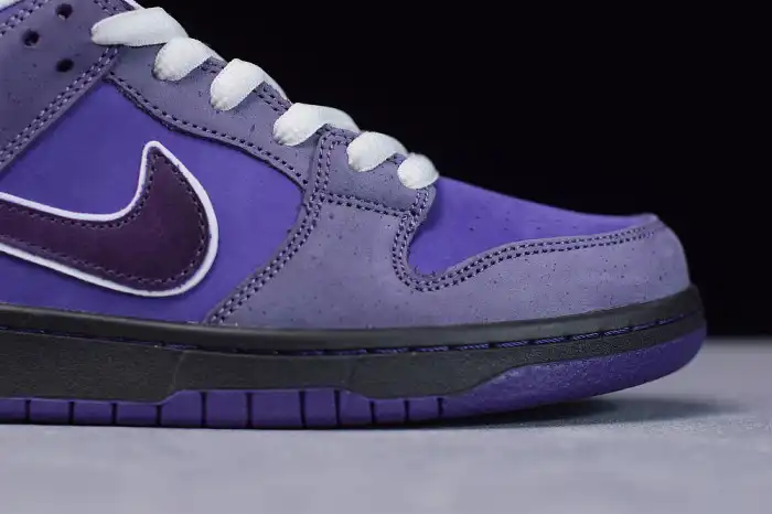 Cheap NIKE SB DUNK LOW CONCEPTS PURPLE LOBSTER BV1310-555