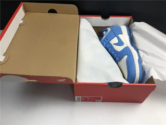 Nike Dunk Low Coast (W) DD1503-100