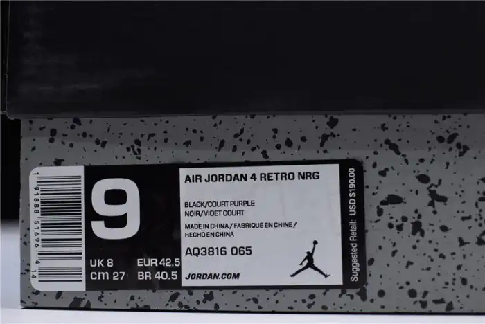 Air Jordan 4 Retro NRG Raptors