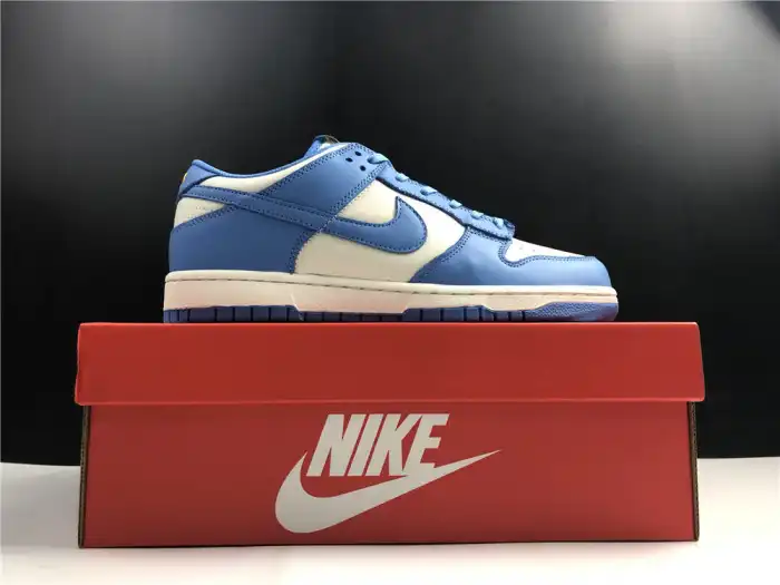 Cheap Nike Dunk Low Coast (W) DD1503-100