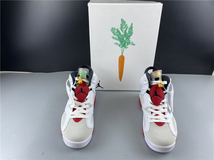 Air Jordan 6 Hare CT8529-062