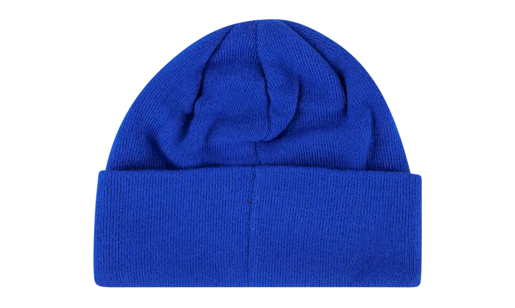 Palace Triferg Patch Beanie