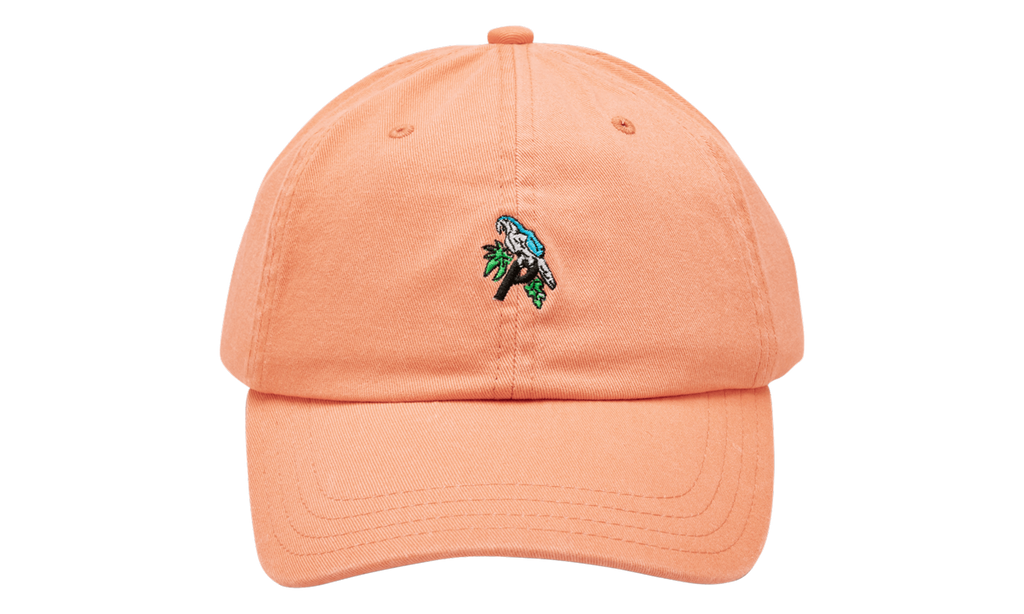 Palace Internationale Parrot P 6-Panel Hat