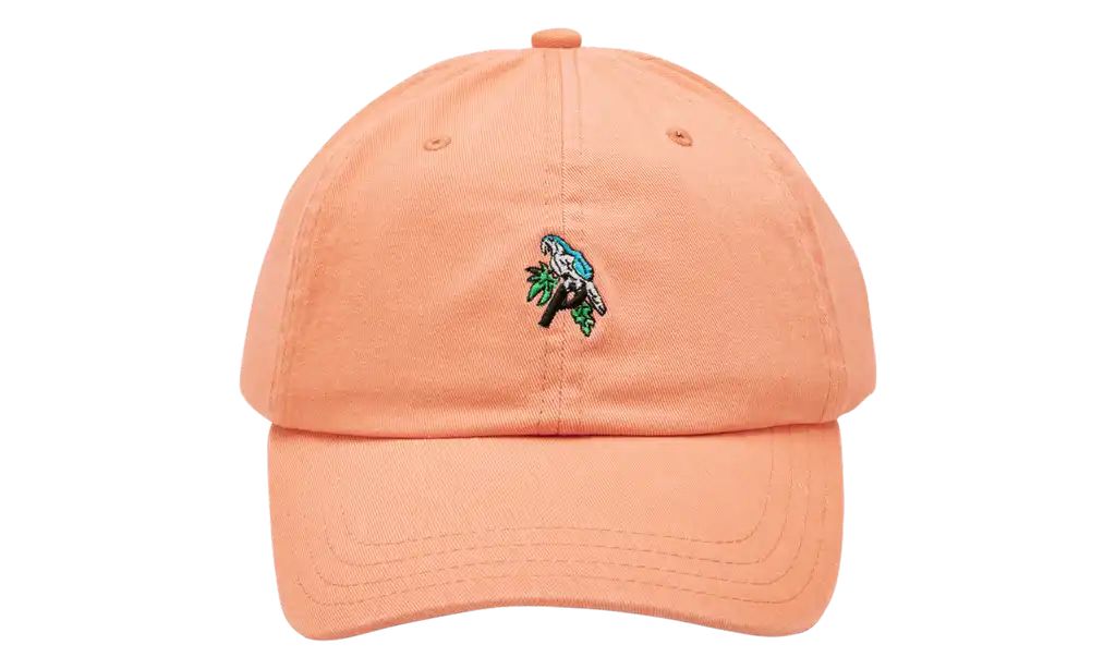 Palace Internationale Parrot P 6-Panel Hat