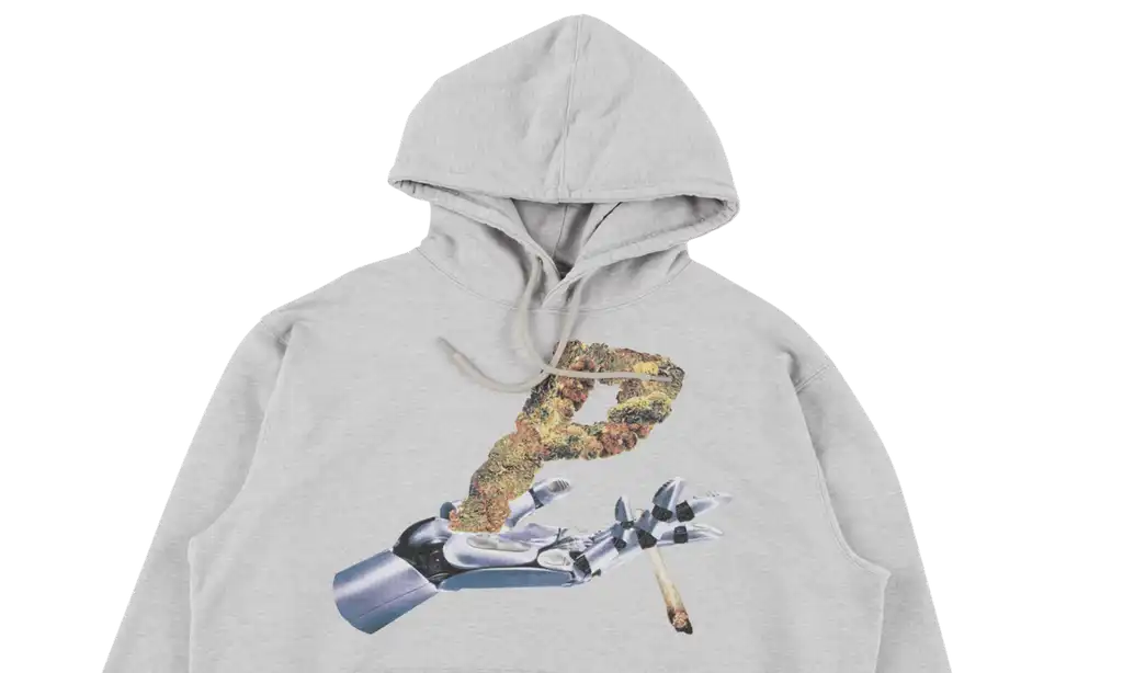 Affordable Palace Ergochronic Hoodie