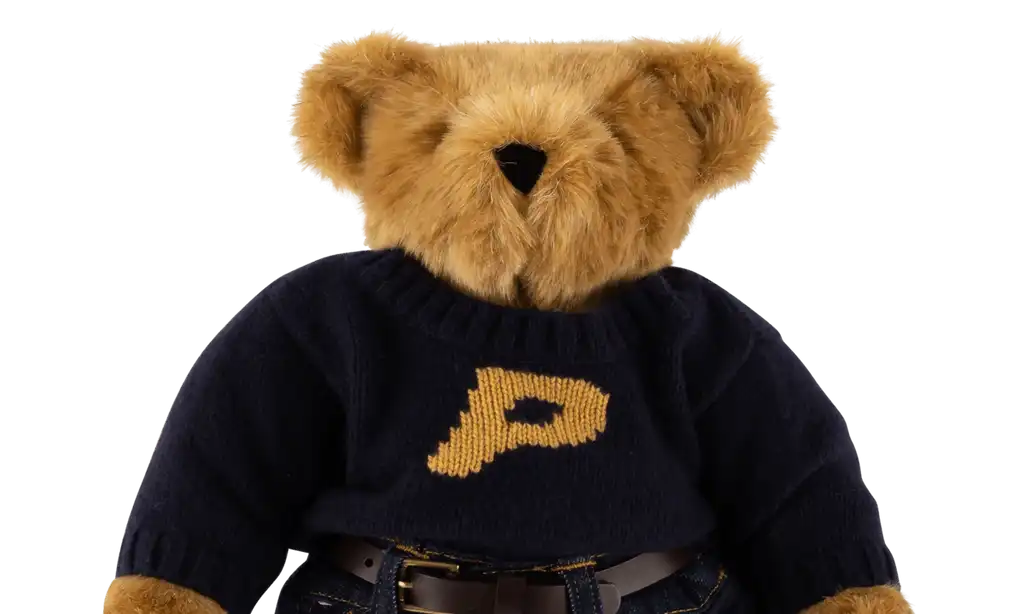 Affordable Palace Teddy Bear 