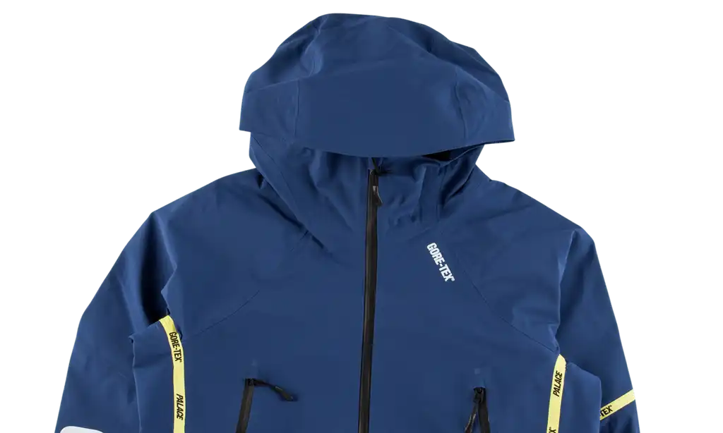 Discover Why Affordable Palace Palex Gore-Tex Jacket is Everyone's Favorite