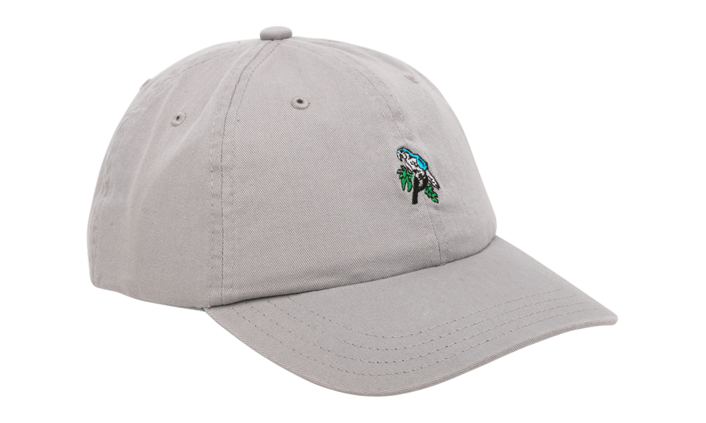 Affordable Palace Internationale Parrot P 6-Panel Hat