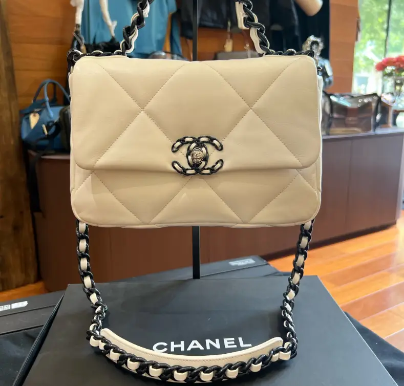 Chanel 19bag limited edition