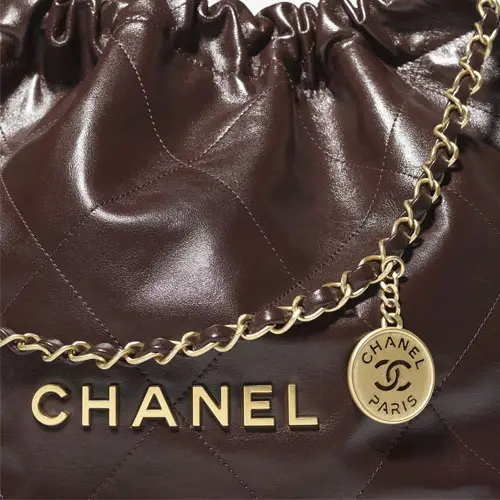 Chanel 22 Handbag Dark Brown 