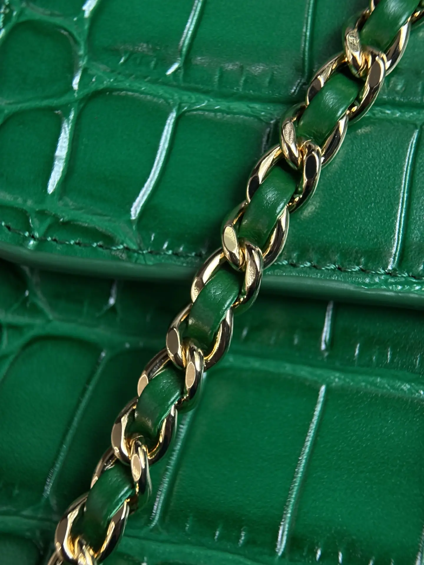 Mini Flap Bag With Top Handle AS6424 Green Crocodile Embossed