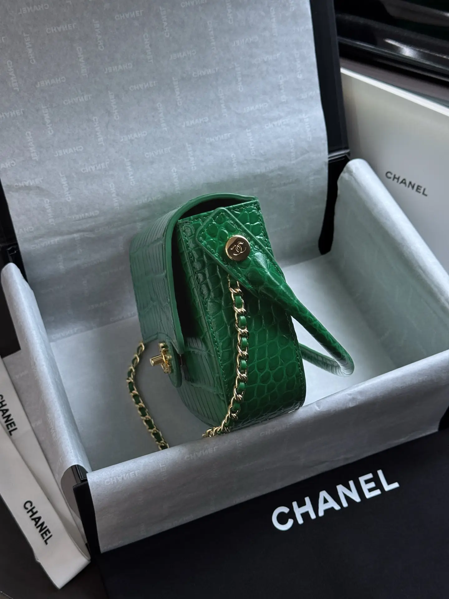 Mini Flap Bag With Top Handle AS6424 Green Crocodile Embossed