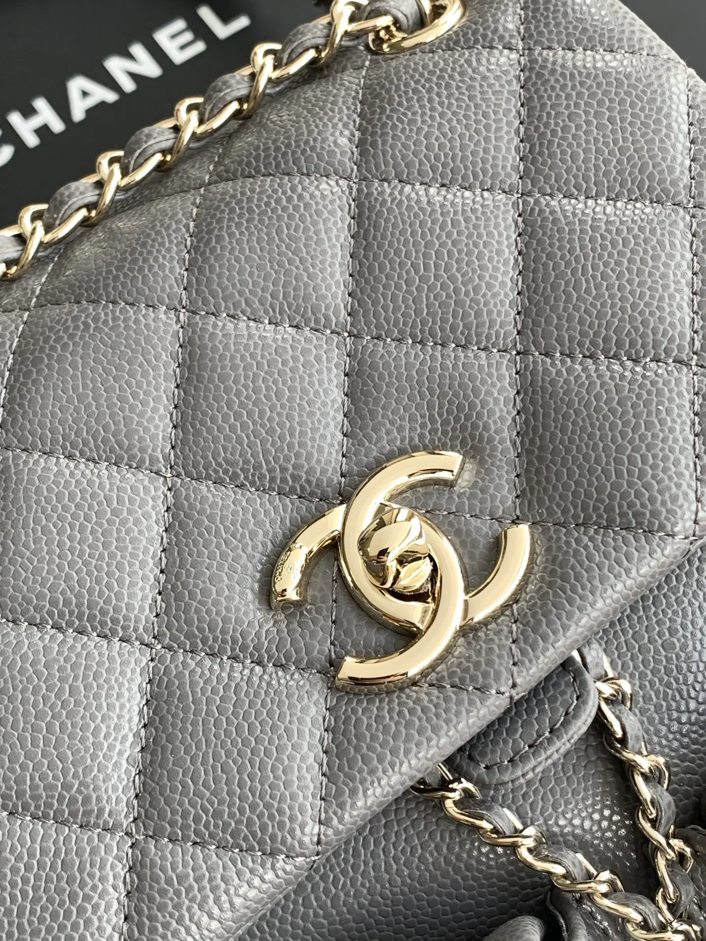 Chanel Duma Backpack Elephant Grey