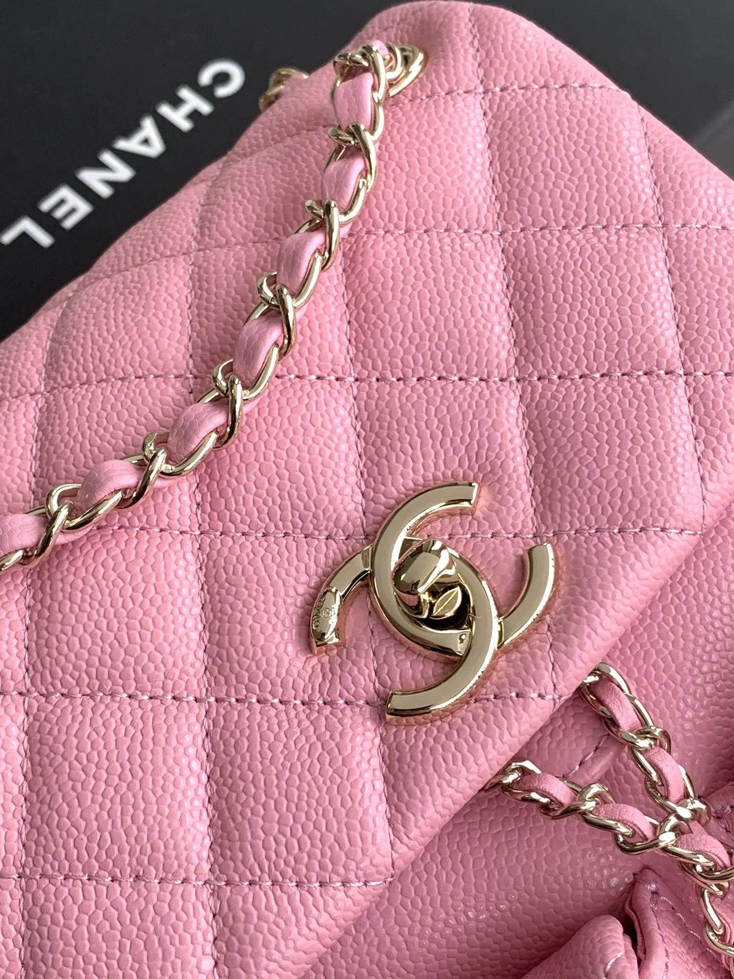 Chanel Duma Backpack Pink