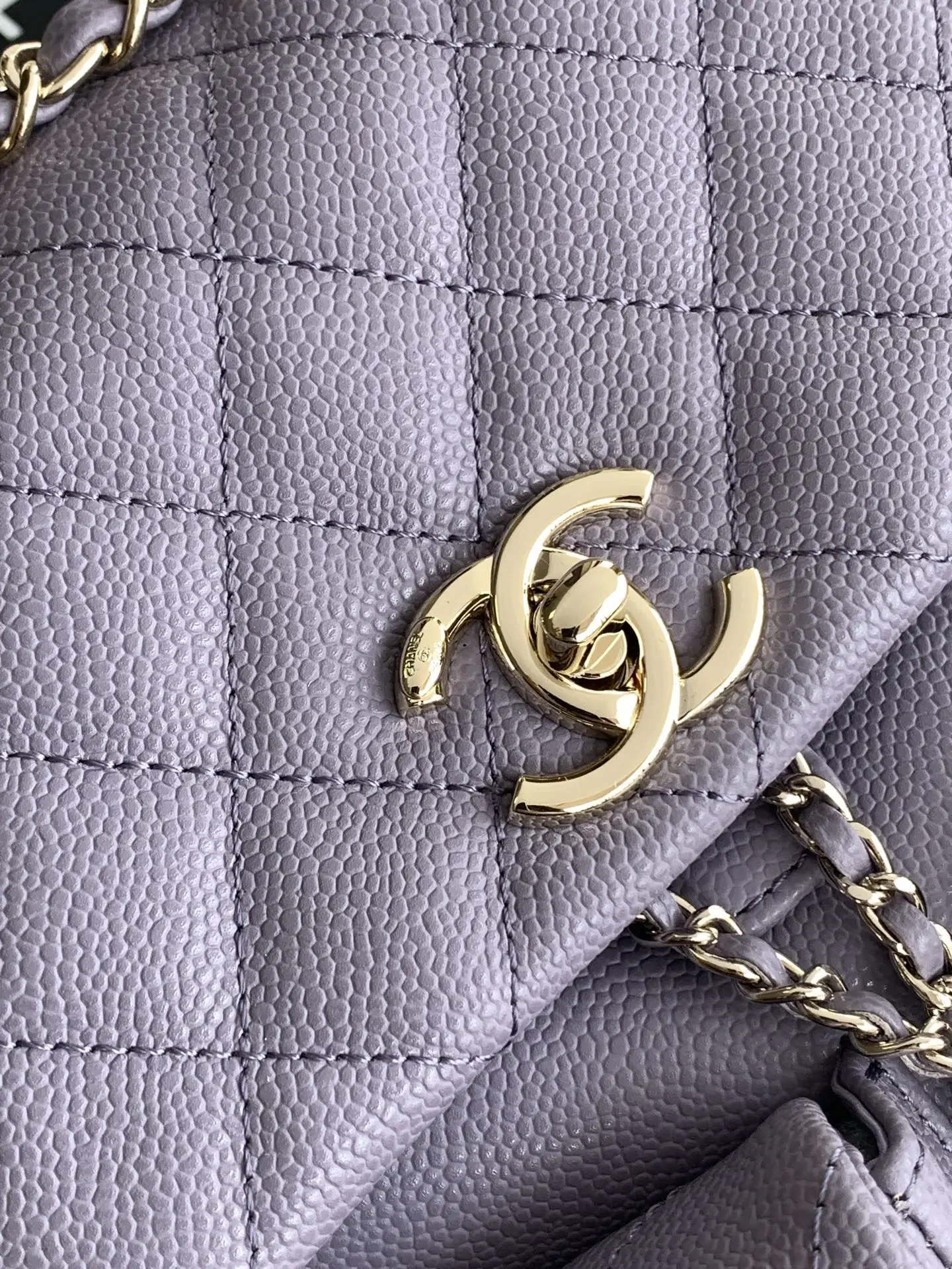 Chanel Duma Backpack Taro Purple