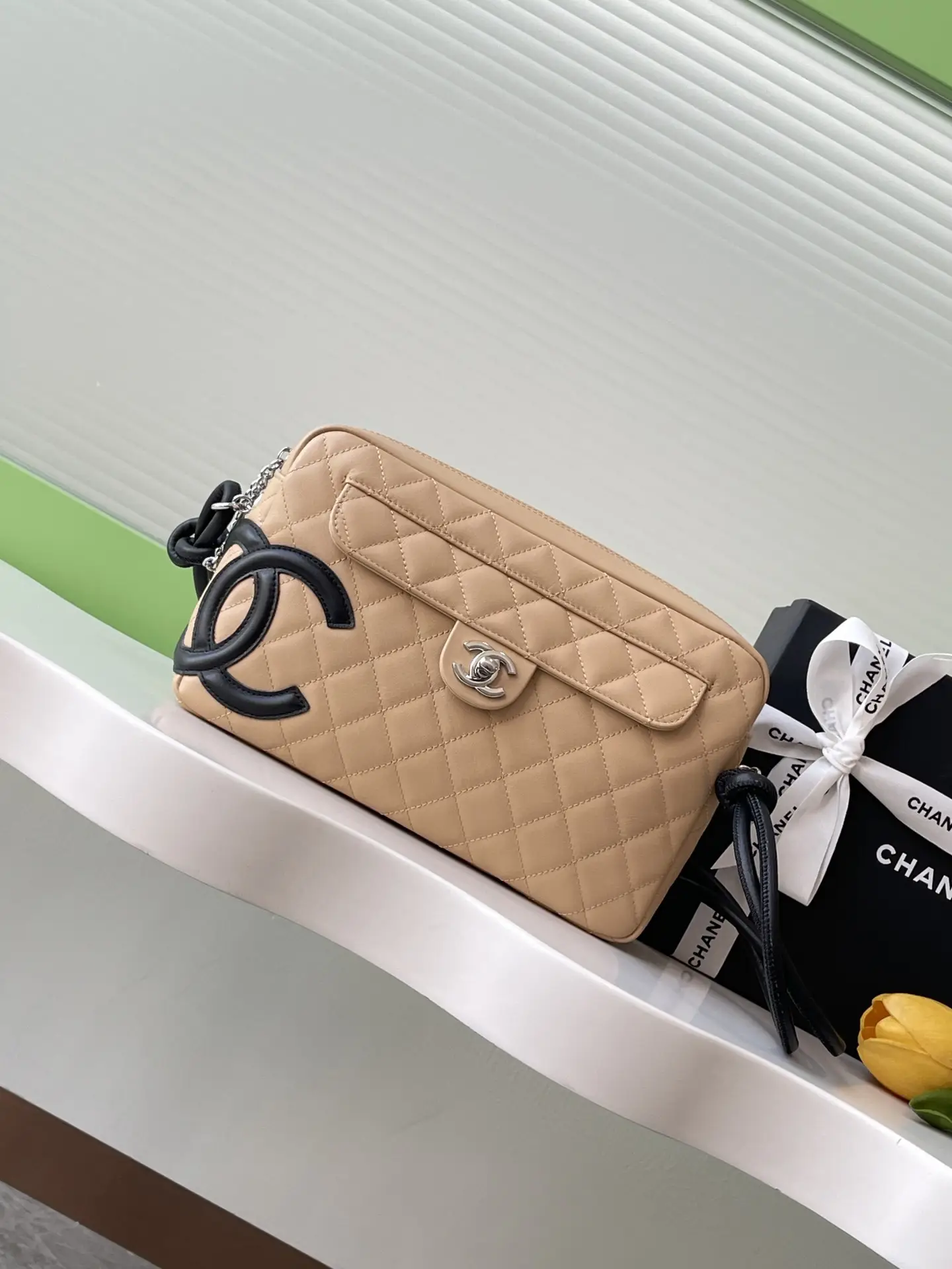 Chanel Vintage Camera Bag AS6326 Beige