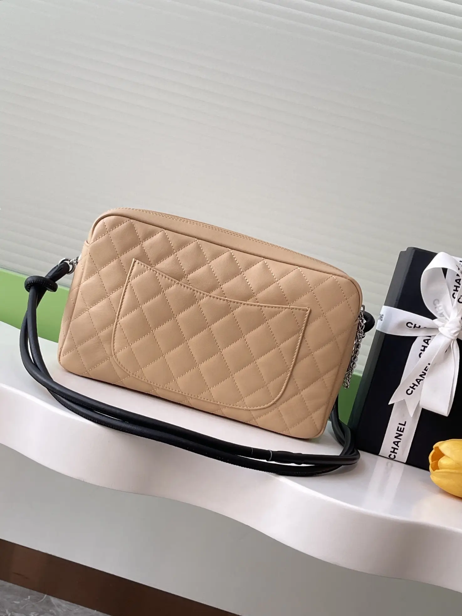 Chanel Vintage Camera Bag AS6326 Beige