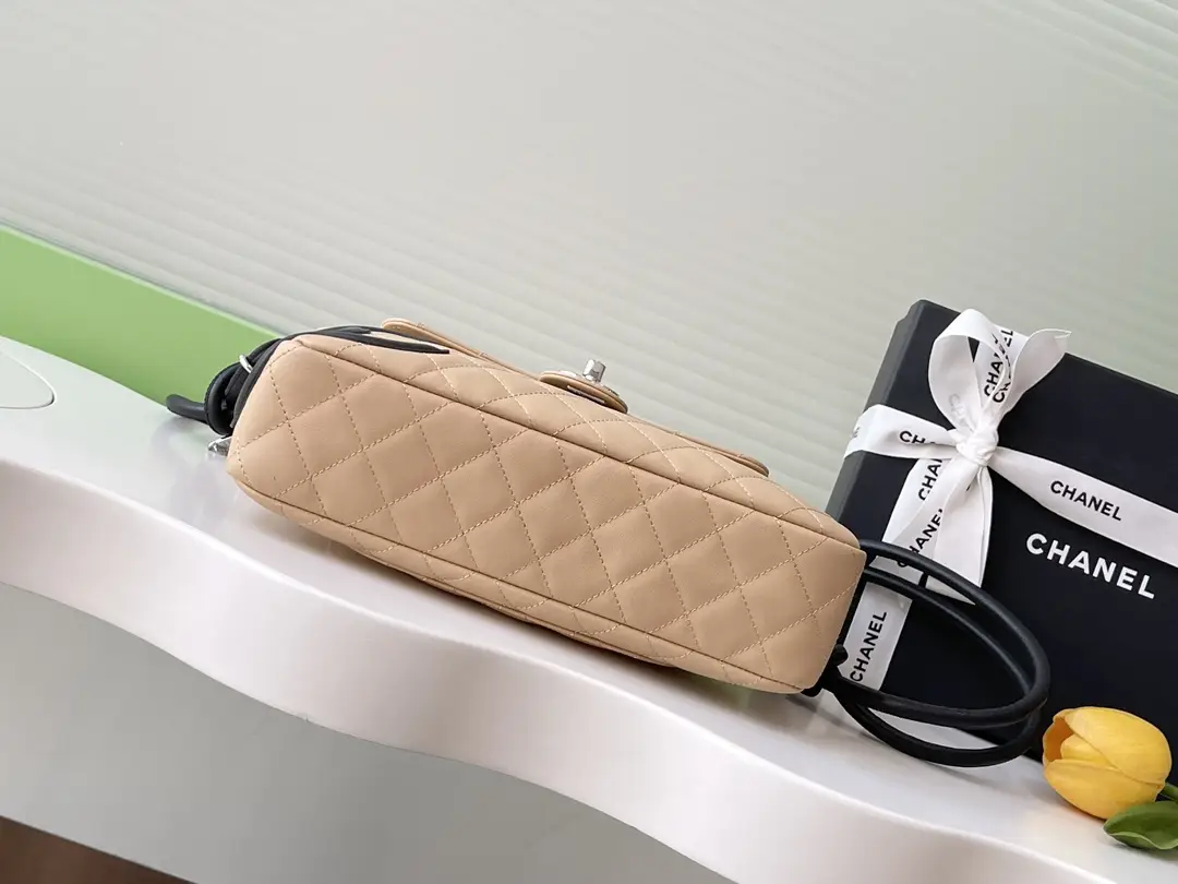 Chanel Vintage Camera Bag AS6326 Beige