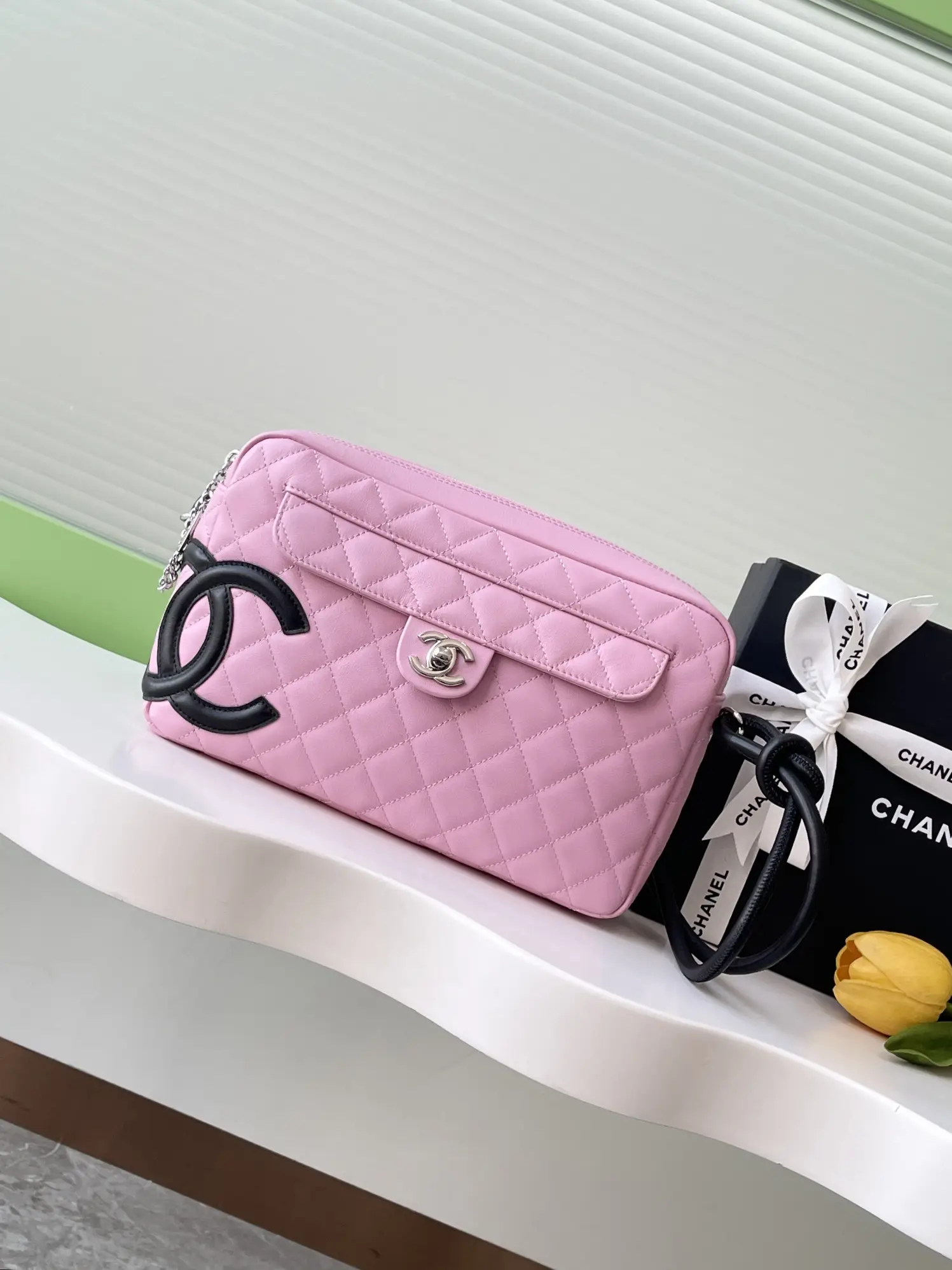 Chanel Vintage Camera Bag AS6326 Pink
