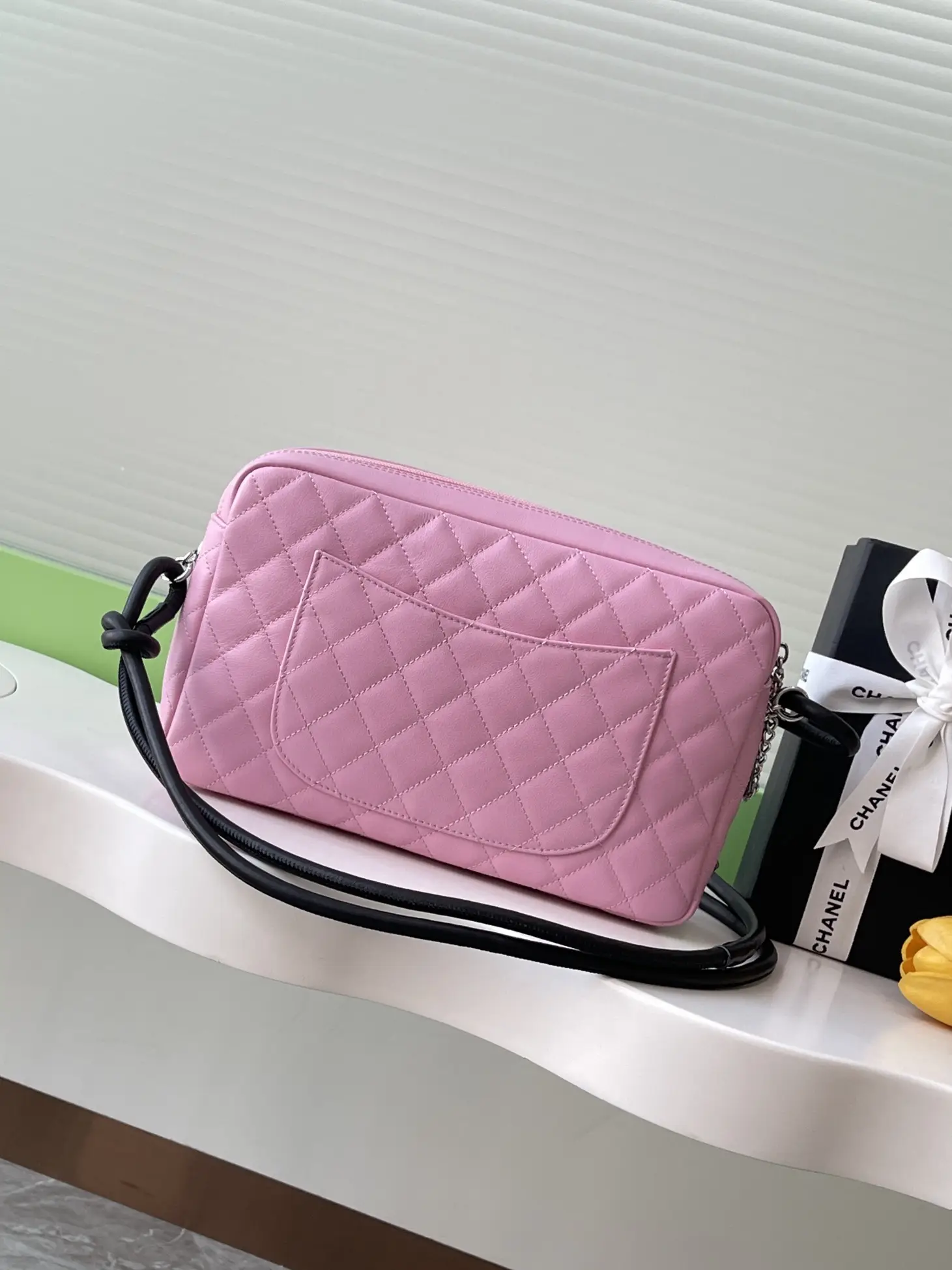 Chanel Vintage Camera Bag AS6326 Pink