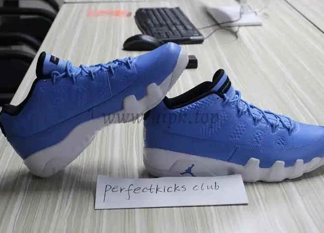 Authentic Air Jordan 9 Low Pantone