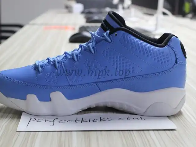 Authentic Air Jordan 9 Low Pantone