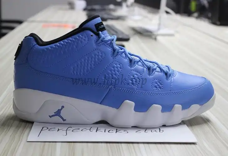 Authentic Air Jordan 9 Low Pantone