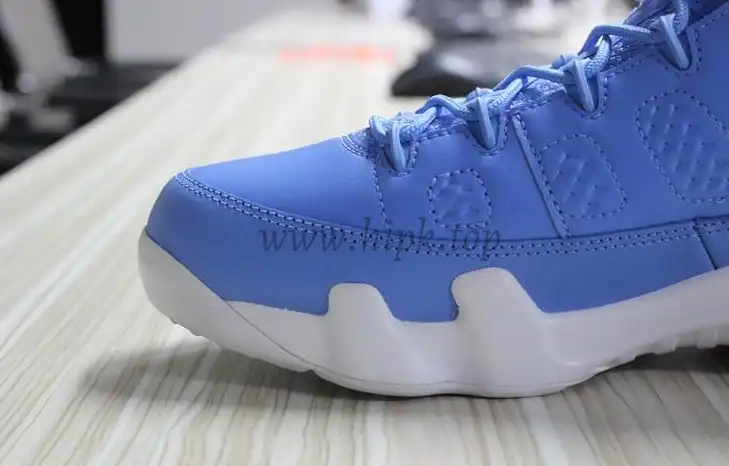 Authentic Air Jordan 9 Low Pantone