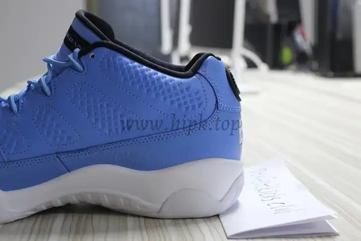 Authentic Air Jordan 9 Low Pantone