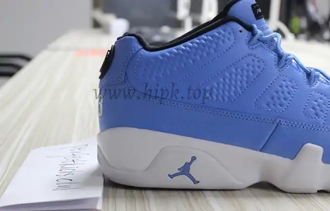 Authentic Air Jordan 9 Low Pantone