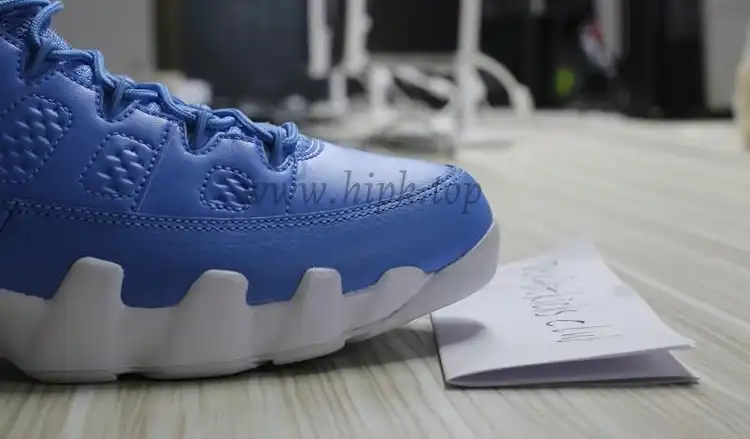 Authentic Air Jordan 9 Low Pantone