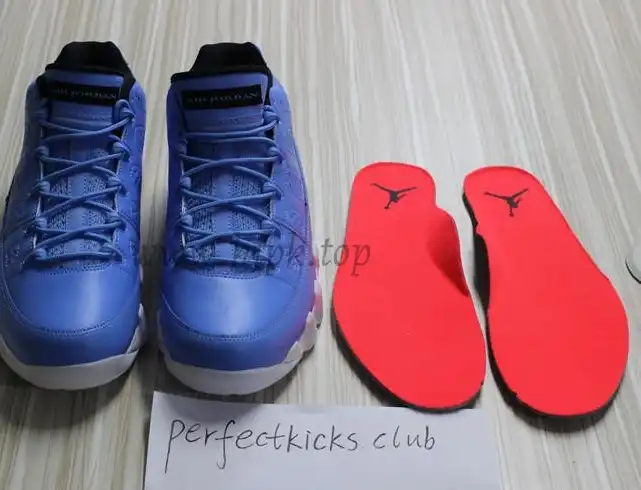 Authentic Air Jordan 9 Low Pantone