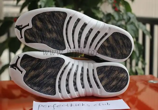 Authentic Air Jordan 12 Retro Wings