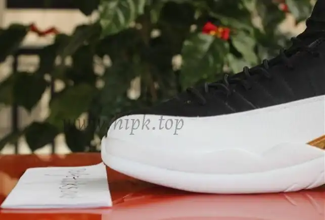 Authentic Air Jordan 12 Retro Wings