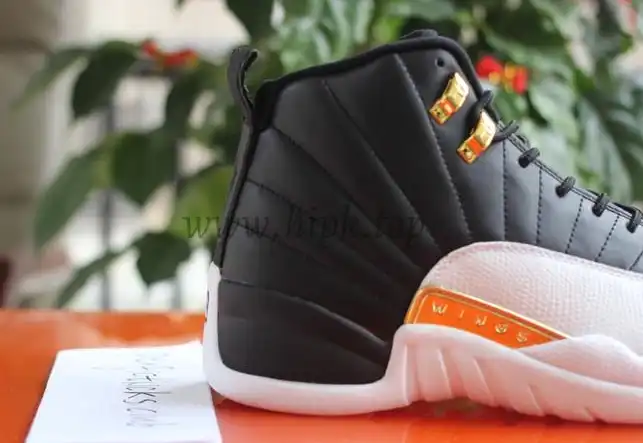 Authentic Air Jordan 12 Retro Wings