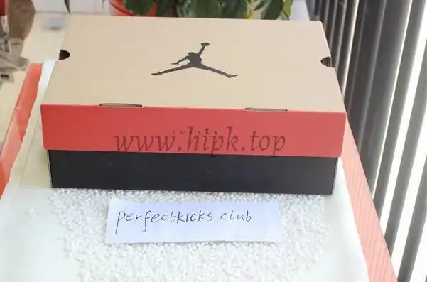 Authentic Air Jordan 12 Trophy Room From PK