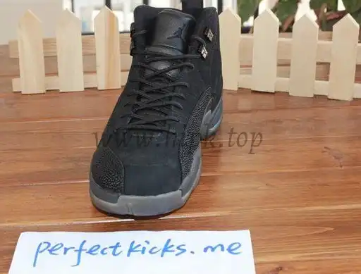 Authentic Air Jordan 12 Black OVO Best version (Nike pairs)